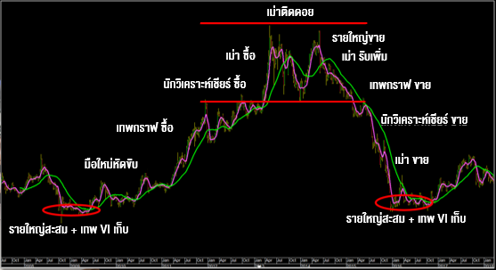 TSI_Article_042_Inv_จิตวิทยาการลงทุน_01