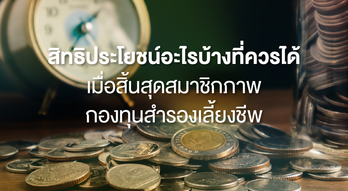 สิทธิประโยชน์อะไรบ้างที่ควรได้ เมื่อสิ้นสุดสมาชิกภาพกองทุนสำรองเลี้ยงชีพ -  Set Investnow