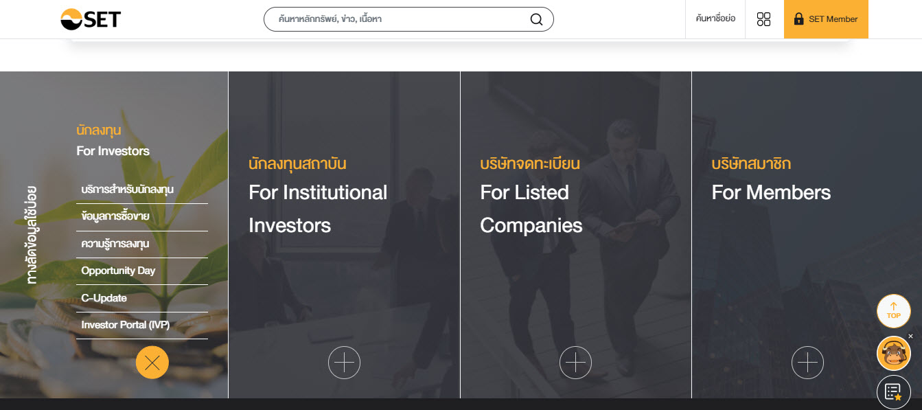 new-set-website-launch-1-4