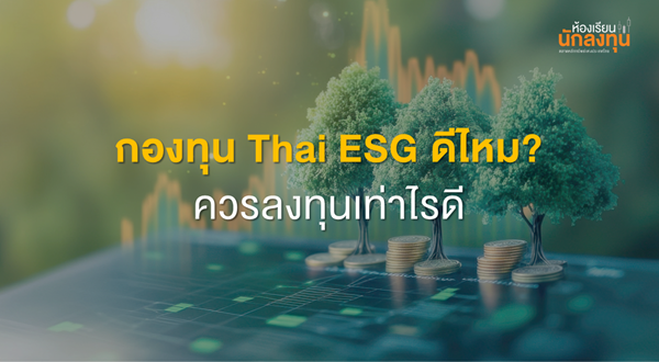 TSI_Article_638_Inv_Thumbnail