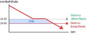 Graph showing profit in the case of falling silver prices.