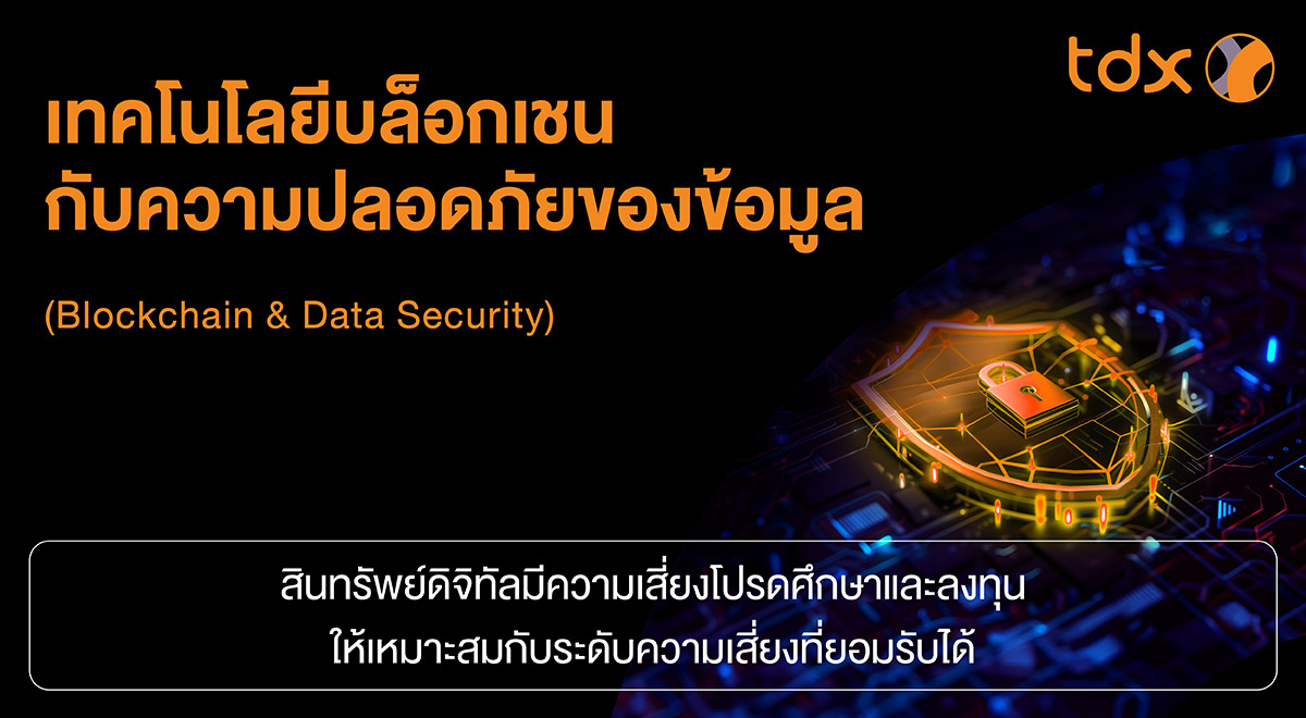 TDX_Article_582