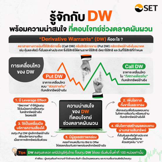 dw-gain-profit-2