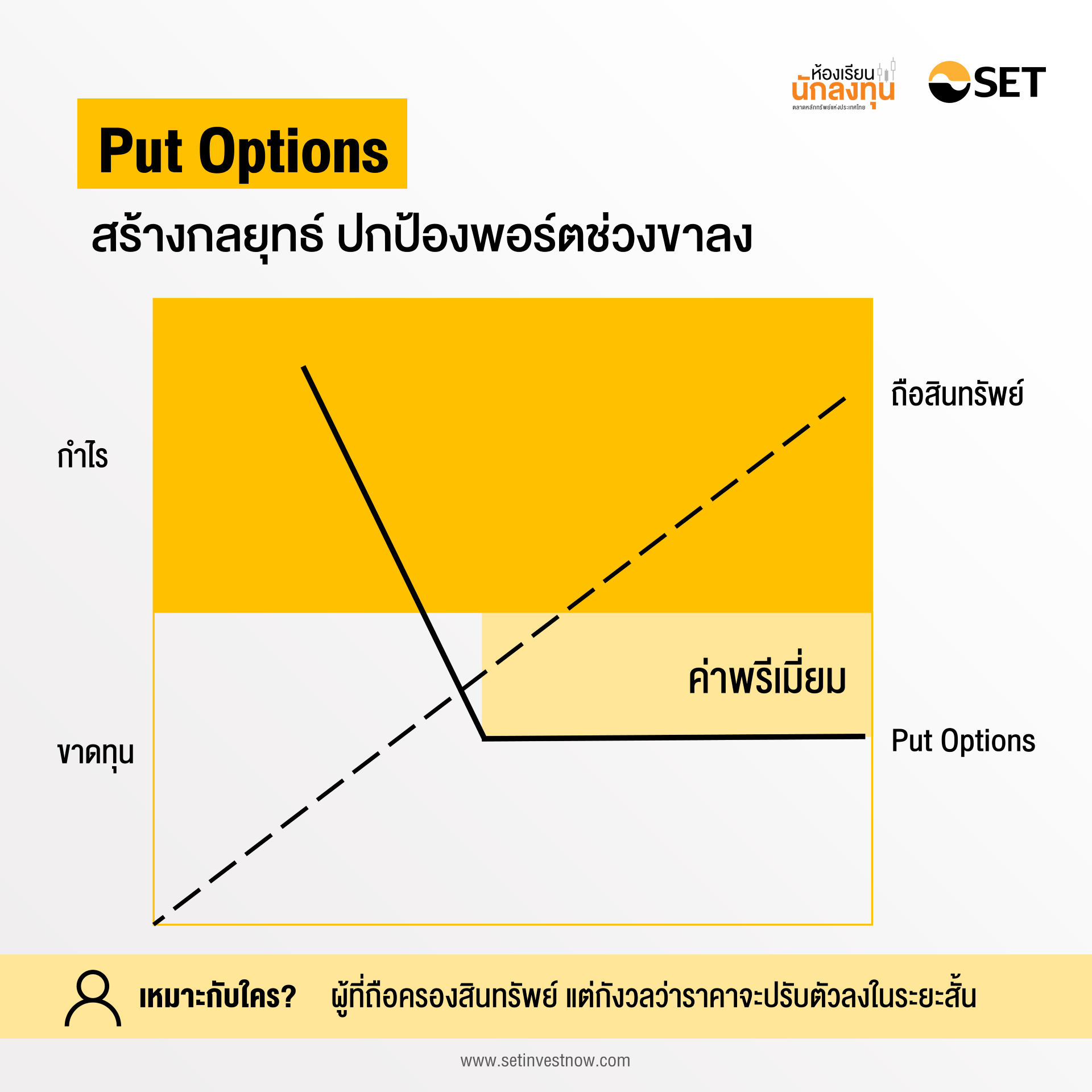 TSI-Article-670-Inv-put-options-strategy-volatile-market-01