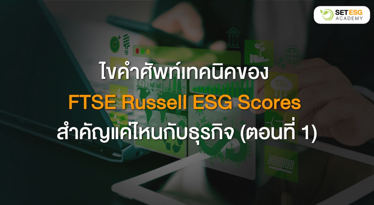 For setinvestnow_ (1)