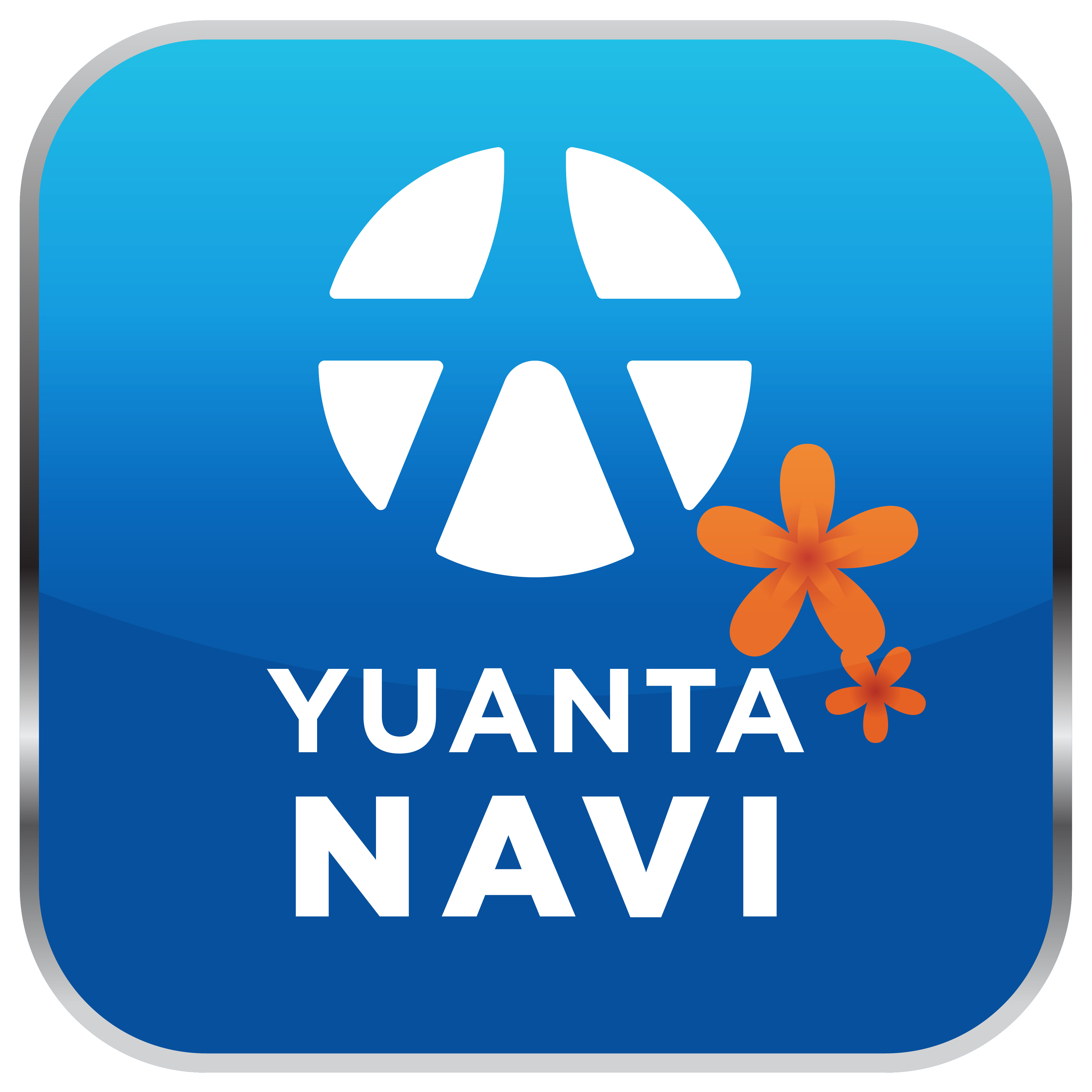 NAVI-LOGO10