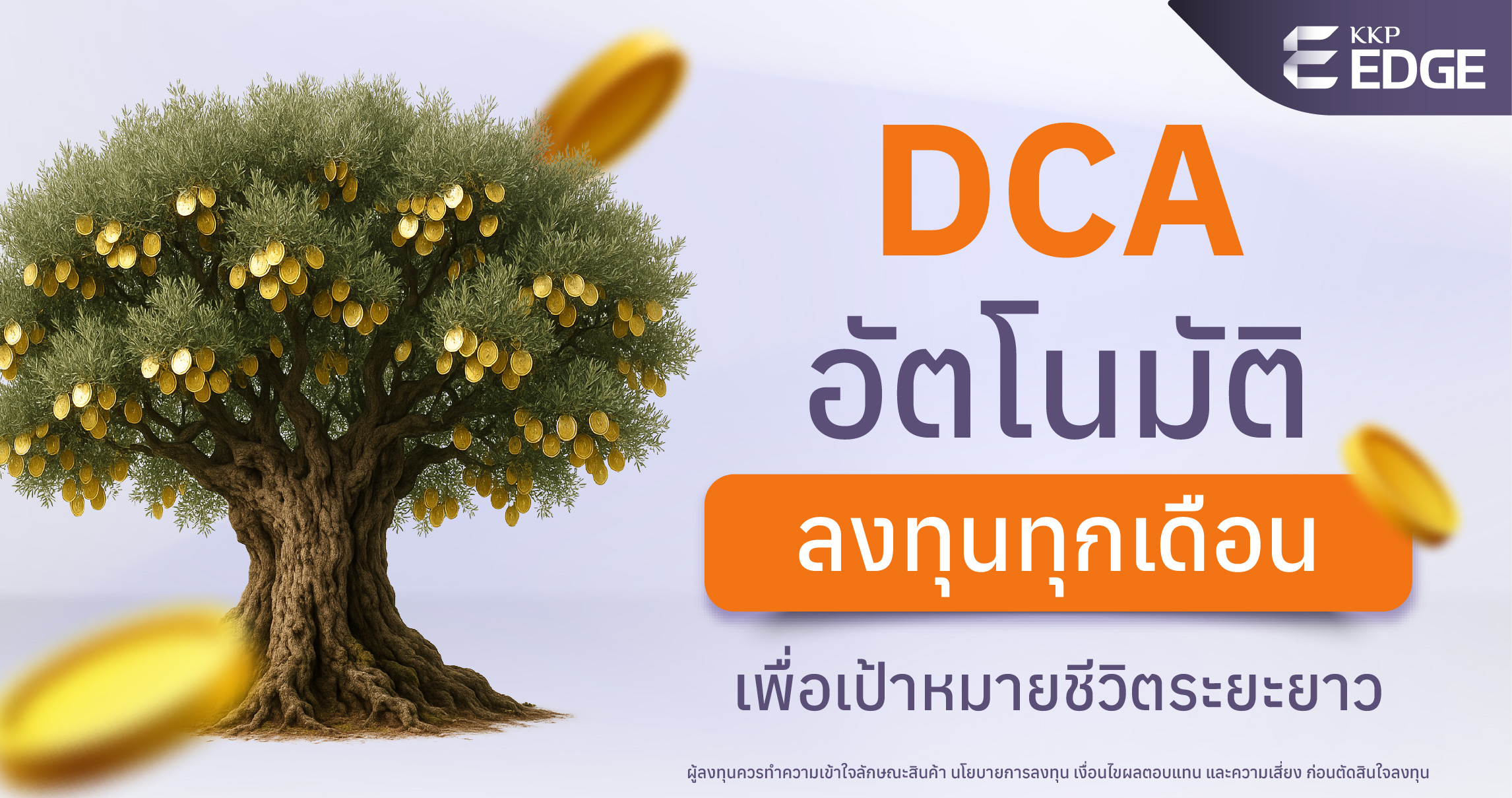 SET-BANNER-DCA (3)